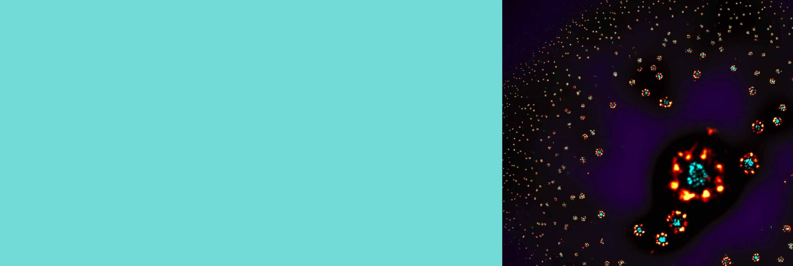 hardware-frontiers-hero