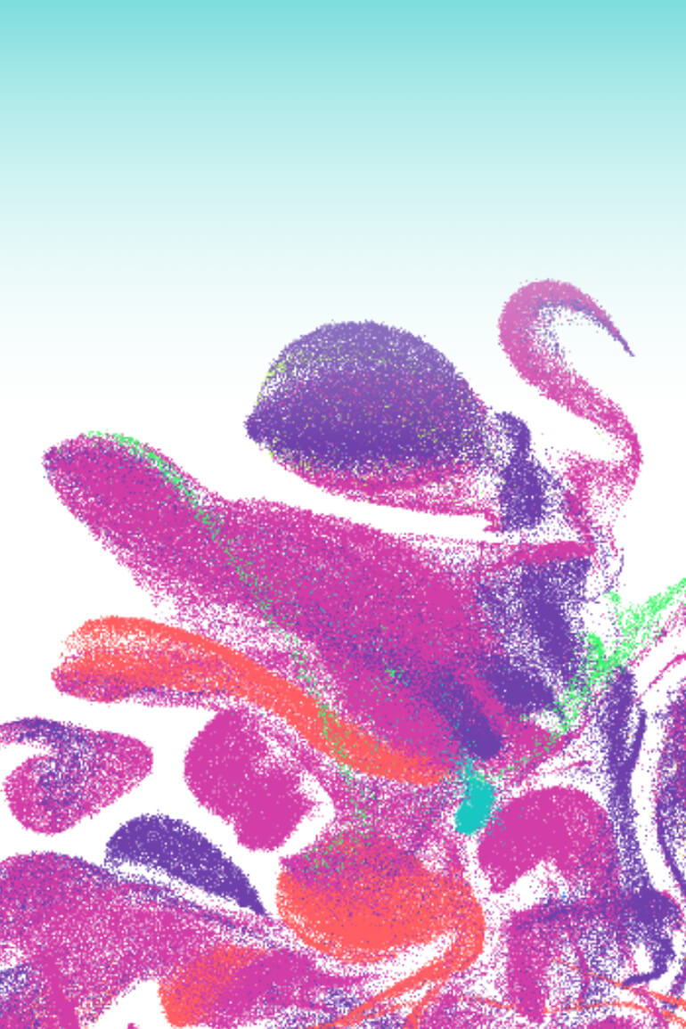 A portion of a scatterplot of 800,000 human organoid cells forming color-coded tissue clusters, visualized in CZI’s CELLxGENE tool.