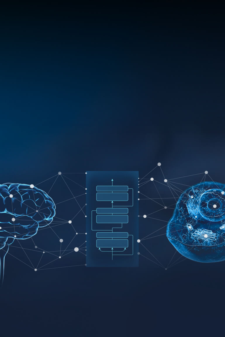 Glowing blue human brain connected through neural network and flow chat to biological cell with visible internal structures, on a dark background.